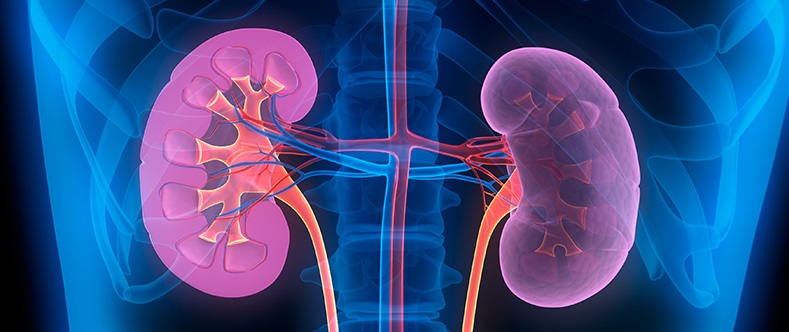Kidney Disease