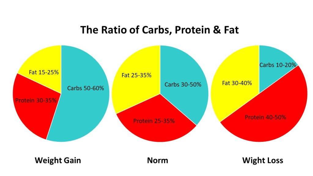 What is a Balanced Diet
