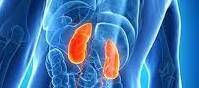 Impact of Kidney Disease
