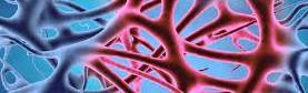 Inflammation and Pain